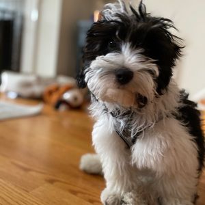 Meet your Posher, Kimberly